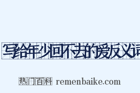 写给年少回不去的爱反义词是什么意思的图片